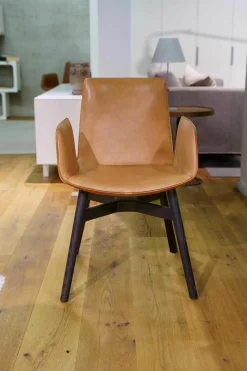 Freifrau Einzelstühle|Amelie Leder Oman Cognac 50105 Gestell Eichenholz Schwarz Gebeizt