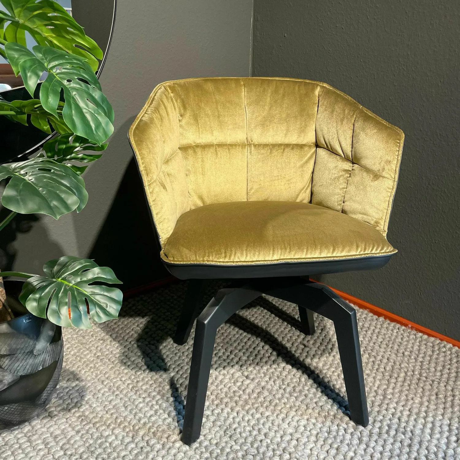 Freifrau Einzelstühle|Armlehnstuhl Marla High Innen Stoff Avalon 21 Gold Gelb Leder Opium Carbon Schwarz Gestell Eiche Schwarz