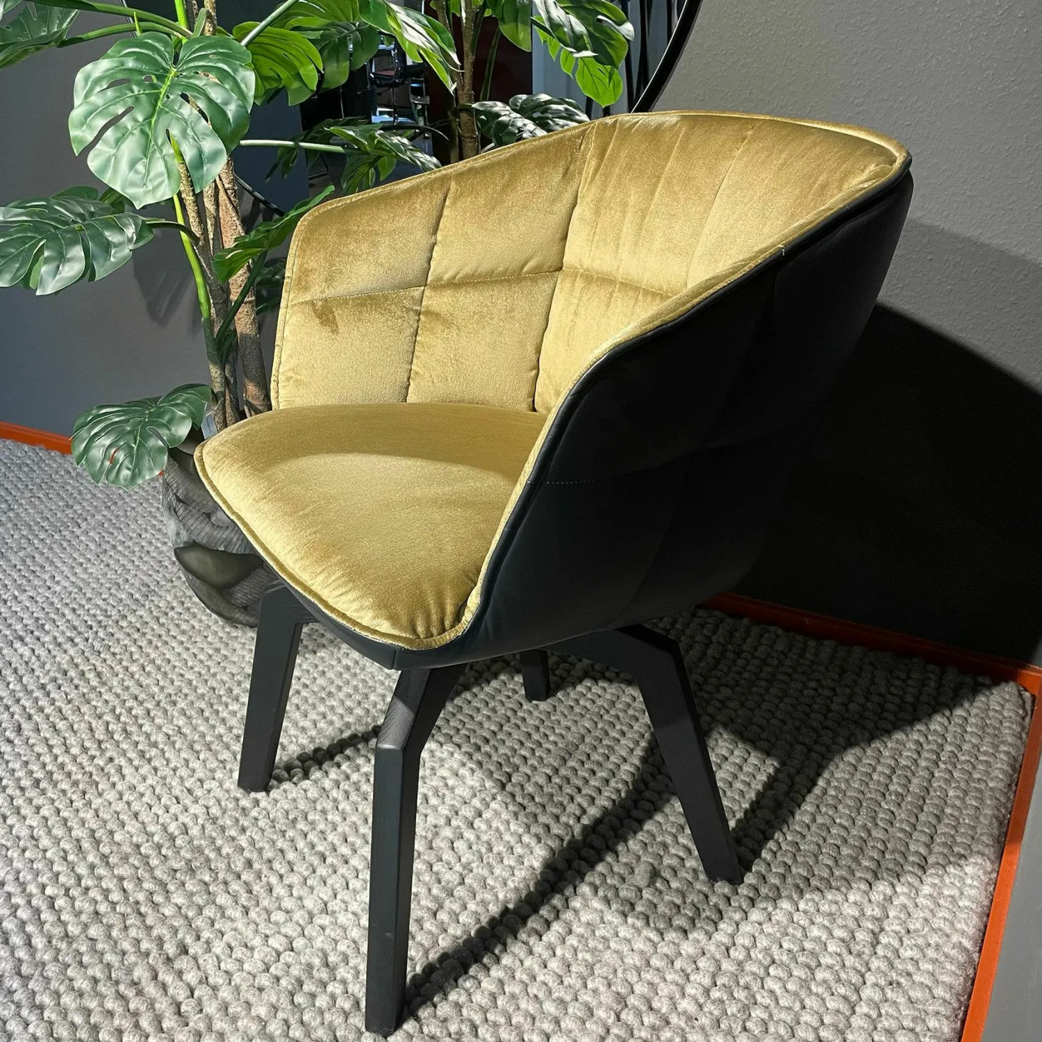 Freifrau Einzelstühle|Armlehnstuhl Marla High Innen Stoff Avalon 21 Gold Gelb Leder Opium Carbon Schwarz Gestell Eiche Schwarz