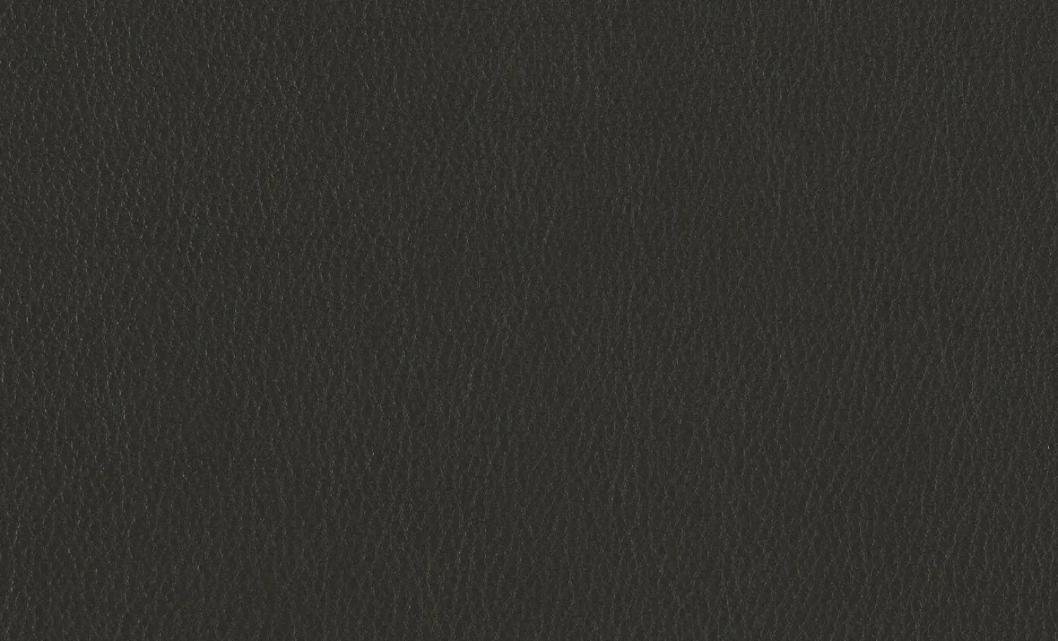 Freifrau Stuhlsets|Armlehnstuhl Nana Leder Opium Plaza Brau Graun 80018 Cat. 154 Stahlgestell Beigegrau ME006 lackiert