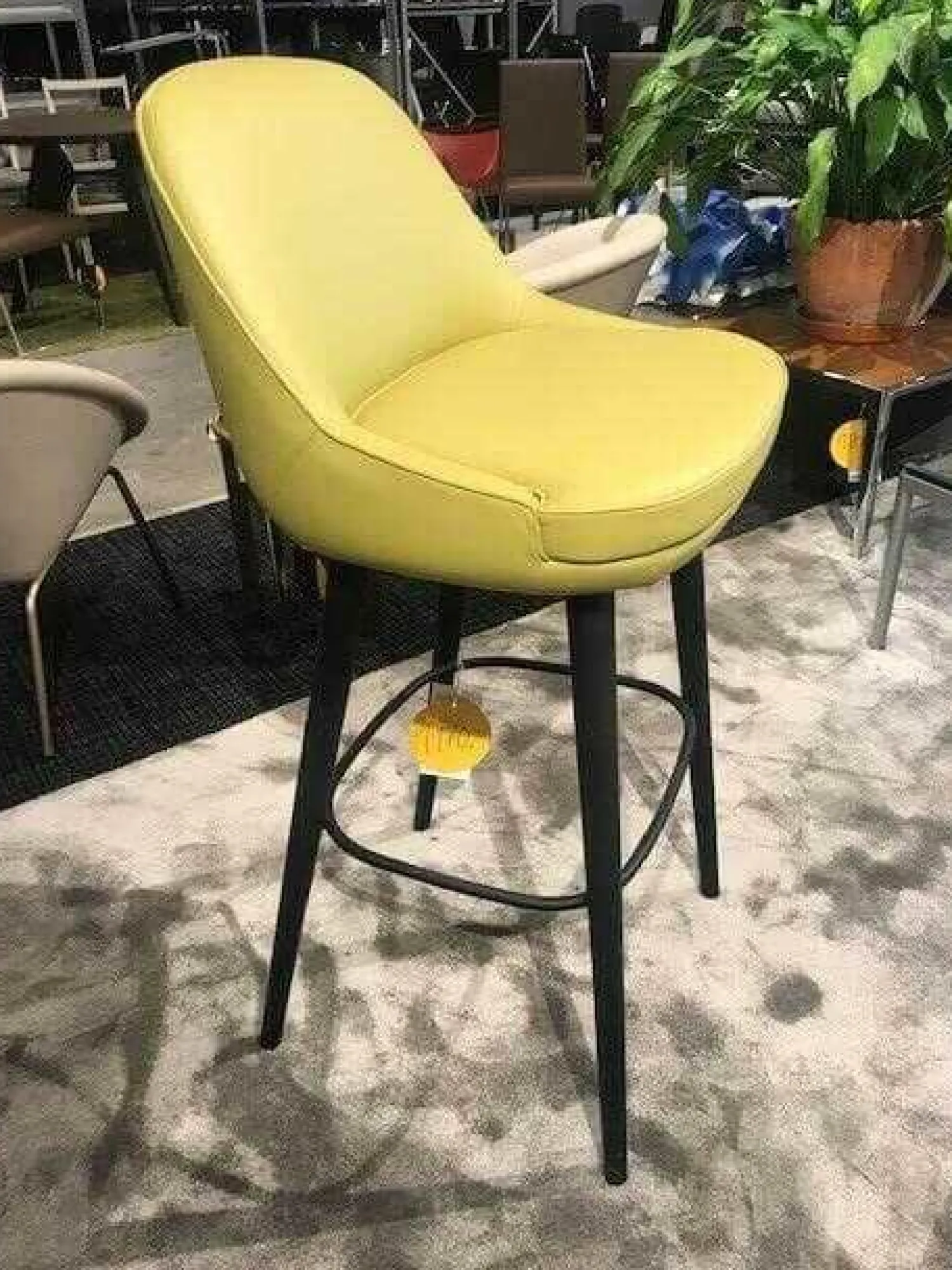 Walter Knoll Barhocker & Barstühle|Barhocker 376 Leder Kat. Congress Pistazie Gestell Massivholz Eiche Geflammt (5 verfügbar)