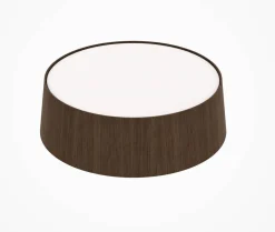 B&B Italia Couchtische|Couchtisch Planck Tischplatte Glas Geätzt Halbtransparent Korpus Rosewood Mutilaminar Holz