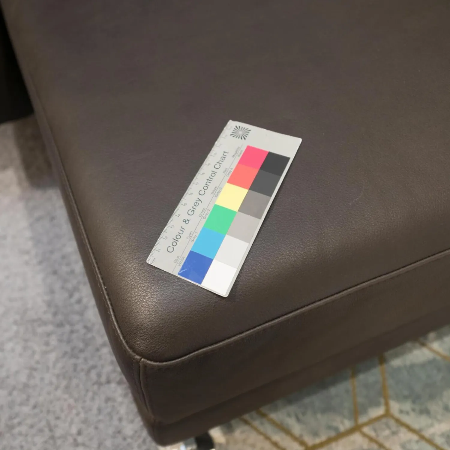 Brühl Ecksofas|Ecksofa Moule Leder Taron 5668 0022 Braun Kufen Chrom Verstellbar