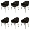 Freifrau Stuhlsets|6er Set Armchair Marie Leder Adora Canelo 95007 Schwarz 4 Fuß Stahlgestell Bronze Lasur Schwarz