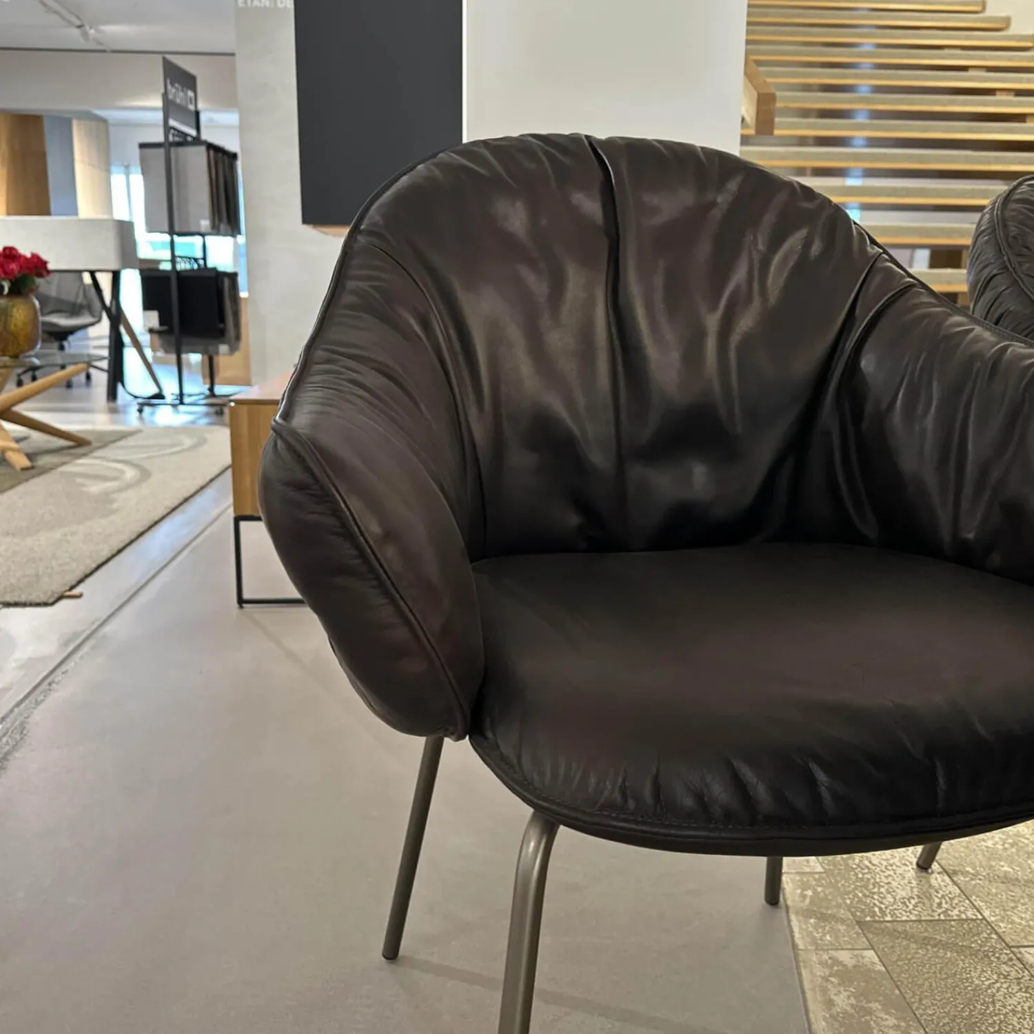 Freifrau Stuhlsets|6er Set Armchair Marie Leder Adora Canelo 95007 Schwarz 4 Fuß Stahlgestell Bronze Lasur Schwarz