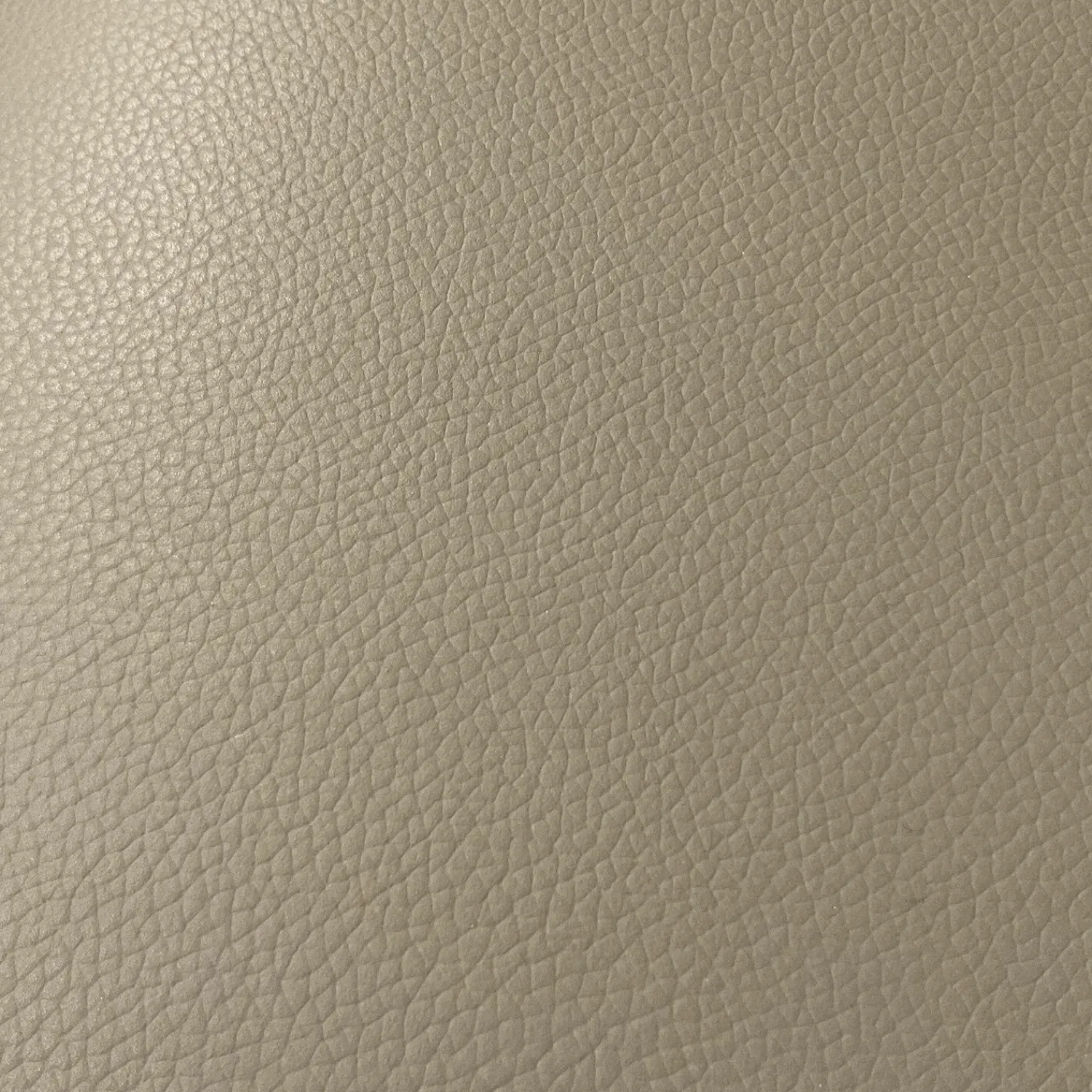 Cattelan Italia Stuhlsets|2er Set Armlehnstuhl Flaminia Softleder 951 Castoro Beige Gestell Stahl Graphit