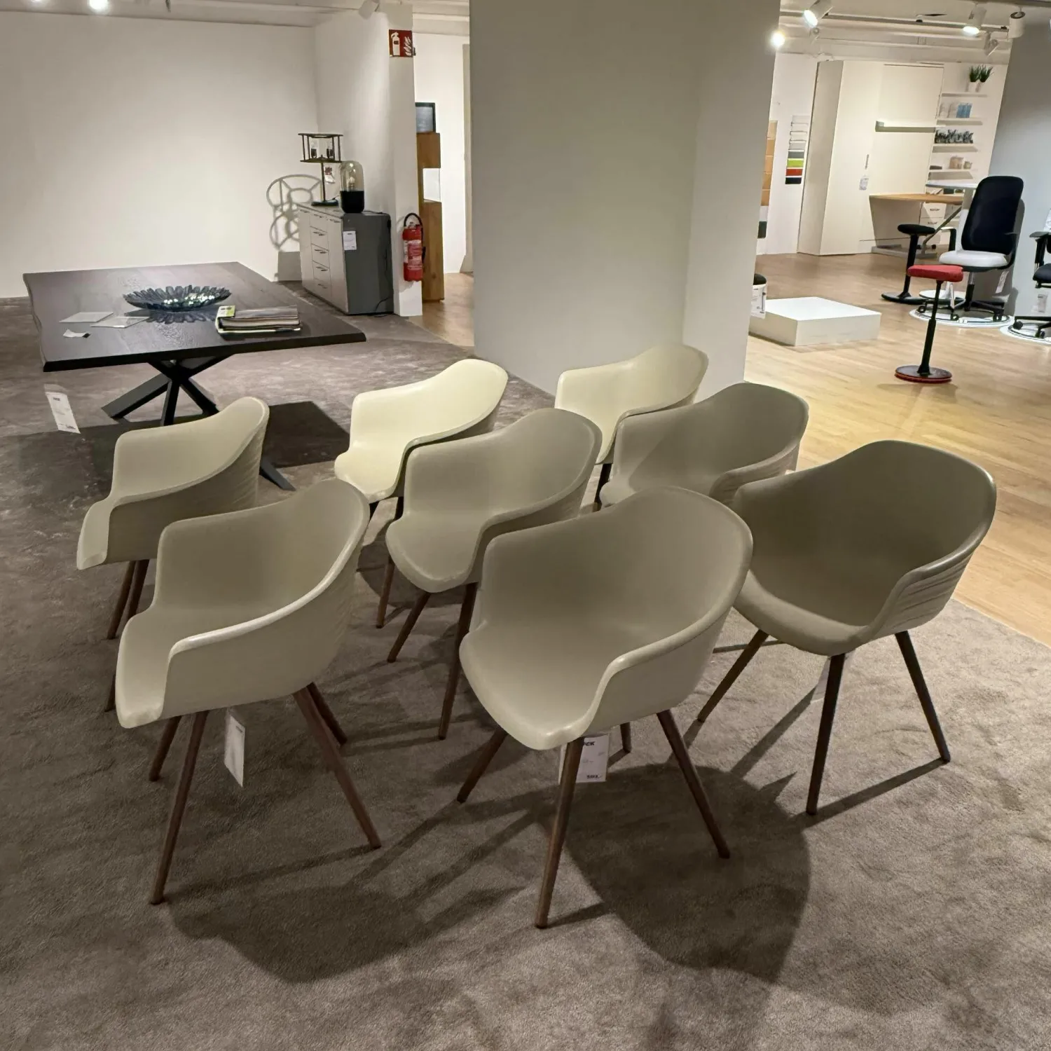 Cattelan Italia Stuhlsets|8er Set Armlehnstuhl Indy Schale Polyurethan Lino Beige Gestell Buche Gebeizt