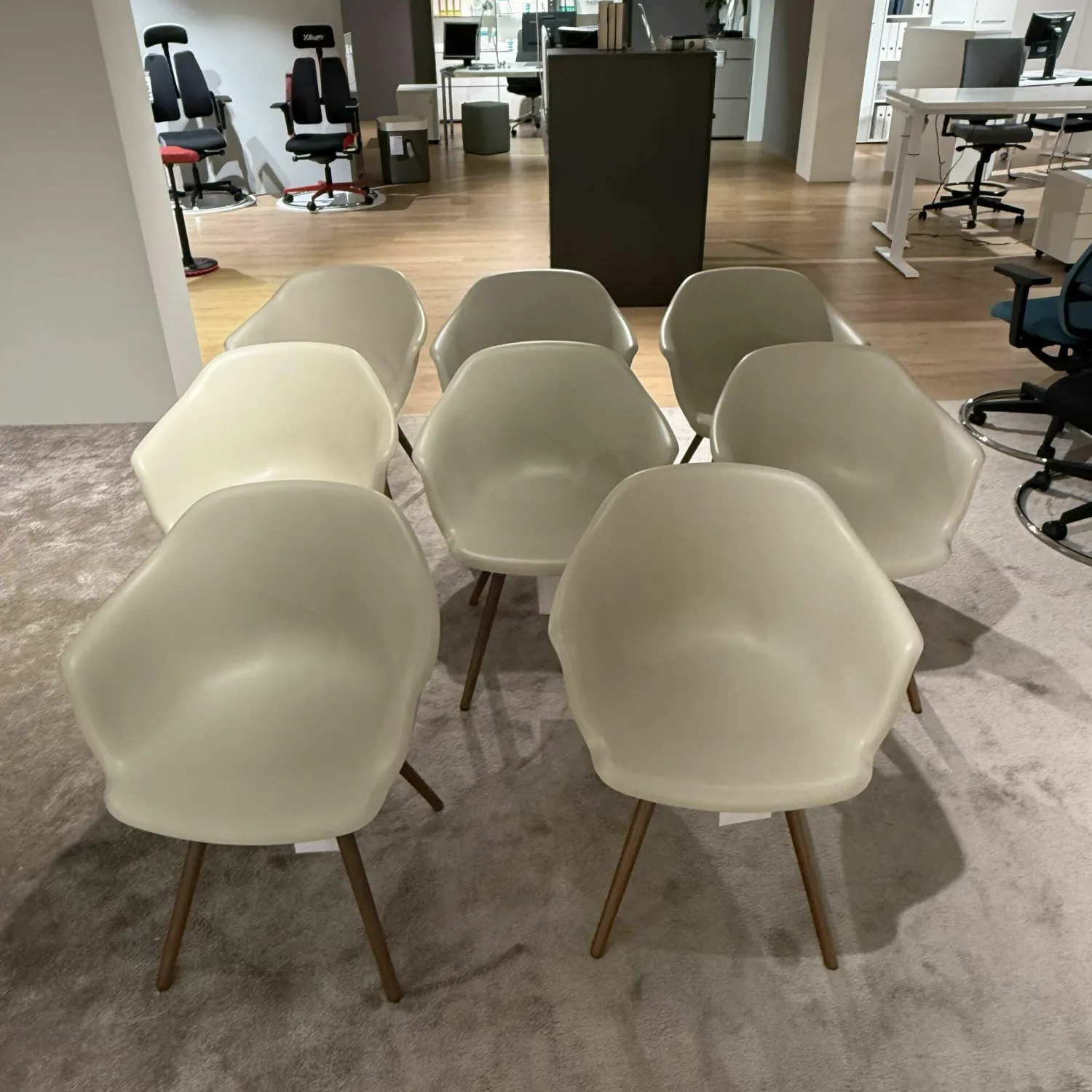 Cattelan Italia Stuhlsets|8er Set Armlehnstuhl Indy Schale Polyurethan Lino Beige Gestell Buche Gebeizt