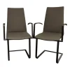 Bacher Stuhlsets|2er Set Freischwinger Kama Leder Hermes H-008 Anthracite Anthrazit Gestell Metall Schwarz Pulverbeschichtet