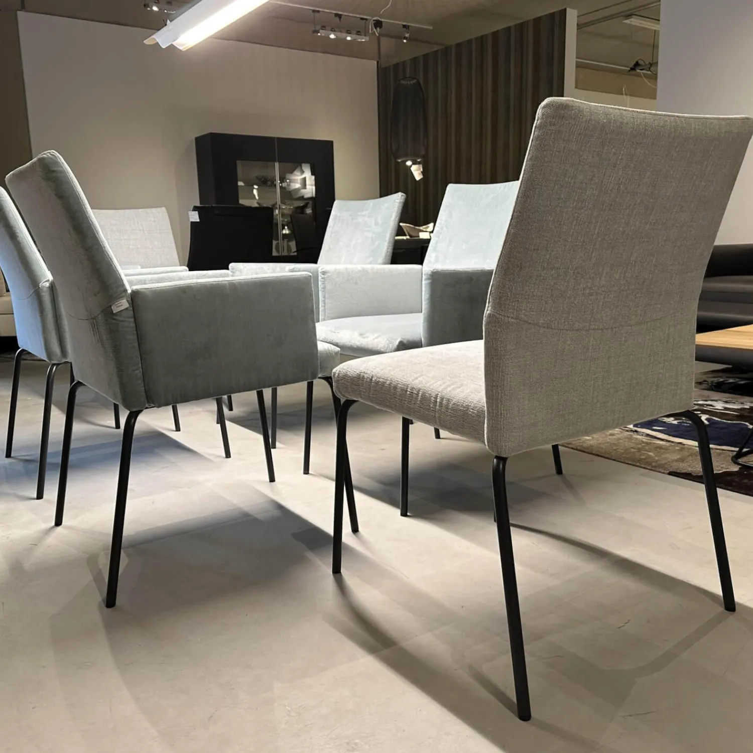 Fischer Möbel Stuhlsets|6er Set Sessel Kalos Stoff Velvet Lagoon Stoff Moss Agua Fuß Edelstahl Pulverbeschichtet Anthrazit Strukturlack Matt