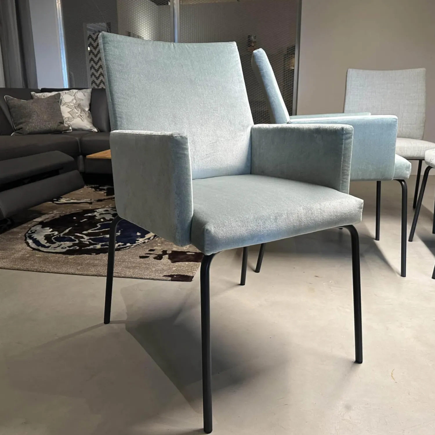 Fischer Möbel Stuhlsets|6er Set Sessel Kalos Stoff Velvet Lagoon Stoff Moss Agua Fuß Edelstahl Pulverbeschichtet Anthrazit Strukturlack Matt