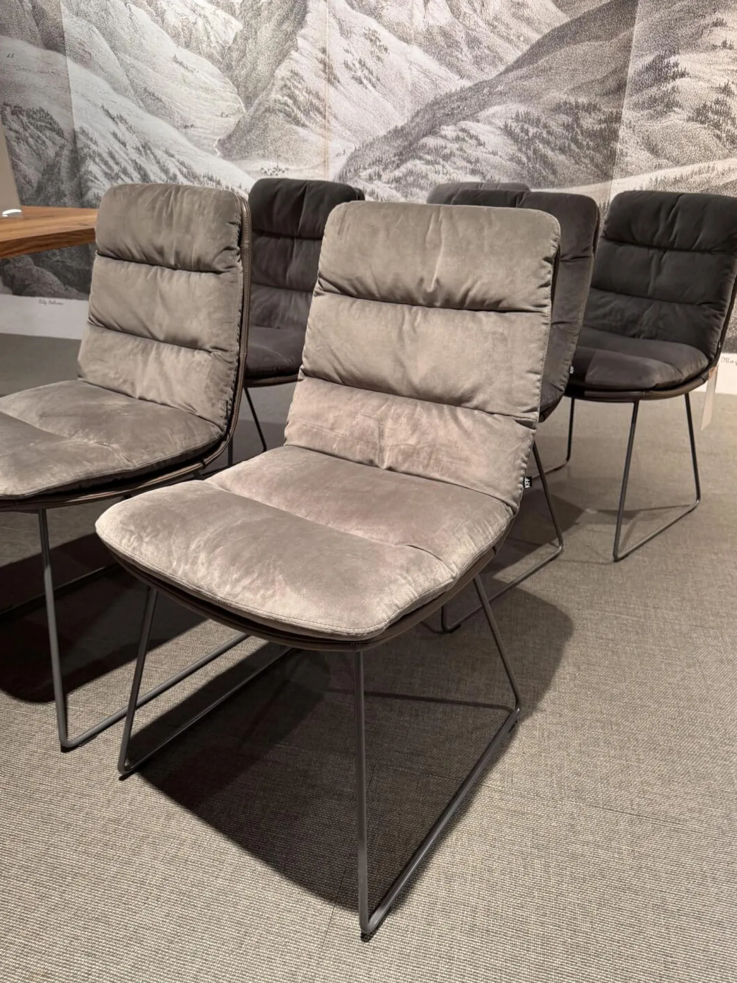 KFF Stuhlsets|6er Set Stuhl Arva Leder Dakota 6006 Grey Drahtkufengestell Metall Eisenblank Grau Lackiert