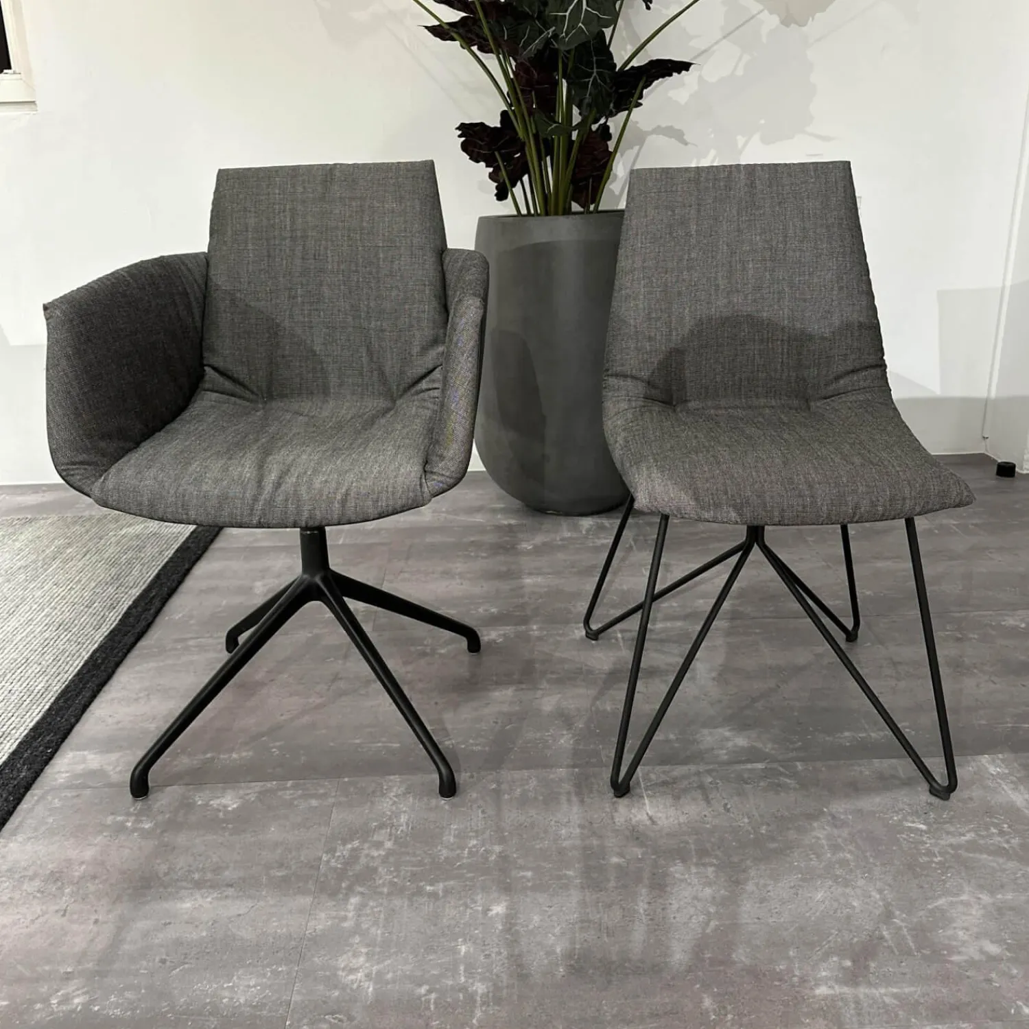 Team 7 Stuhlsets|6er Set Stuhl Lui Und Grand Lui Bezug Stoff Canvas 154 Grau Außen Leder Origon Schwarz 70240 Drahtgestell Schwarz Matt Pulverbeschichtet