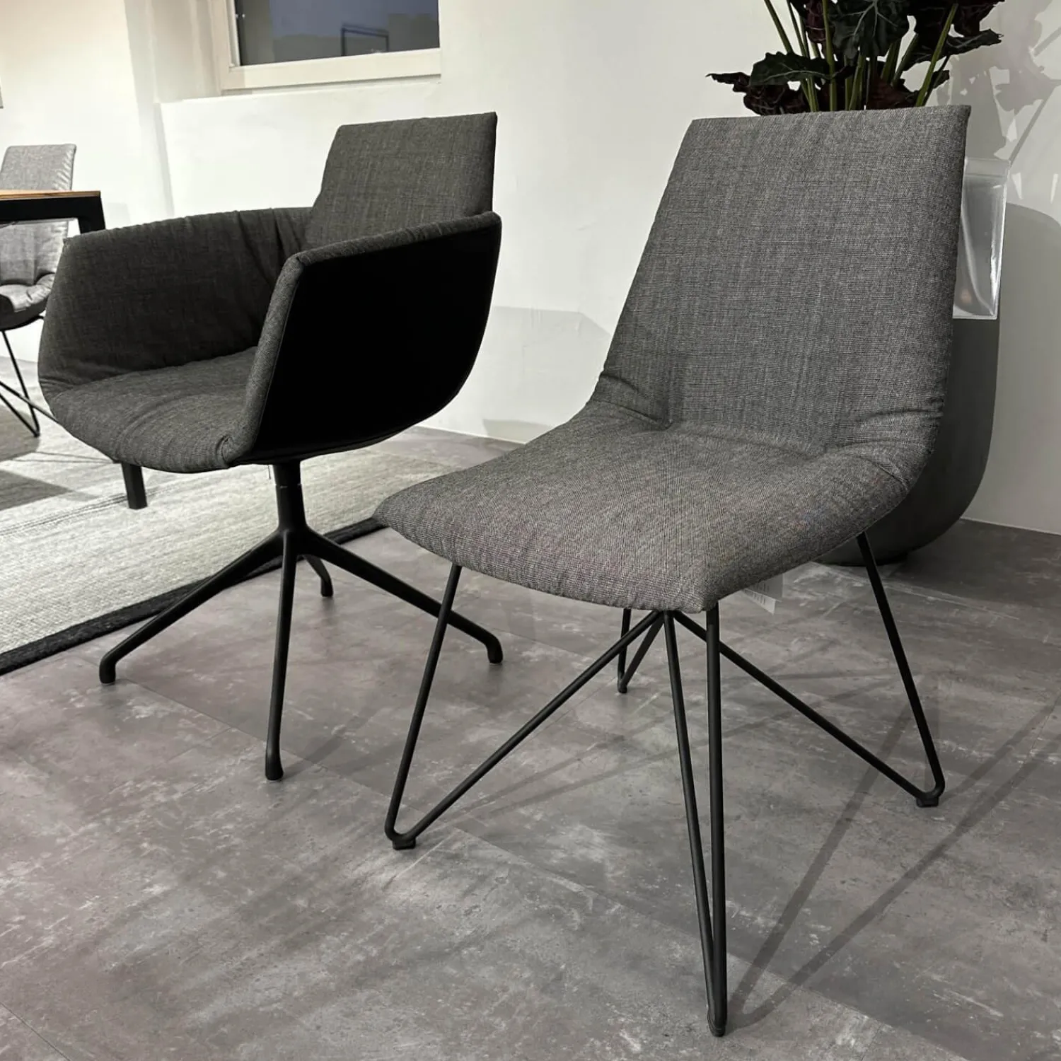 Team 7 Stuhlsets|6er Set Stuhl Lui Und Grand Lui Bezug Stoff Canvas 154 Grau Außen Leder Origon Schwarz 70240 Drahtgestell Schwarz Matt Pulverbeschichtet