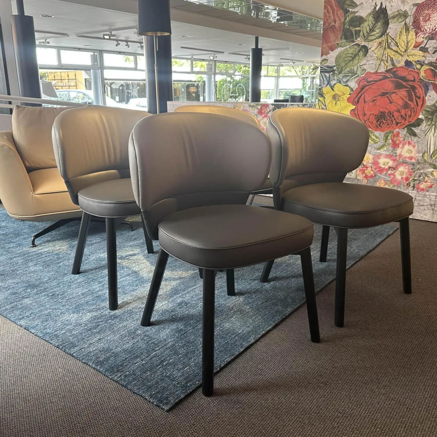 Wittmann Stuhlsets|4er Set Stuhl Morton 22194 Leder Toro Taube Braun Grau Füße Esche Schwarz Lackiert