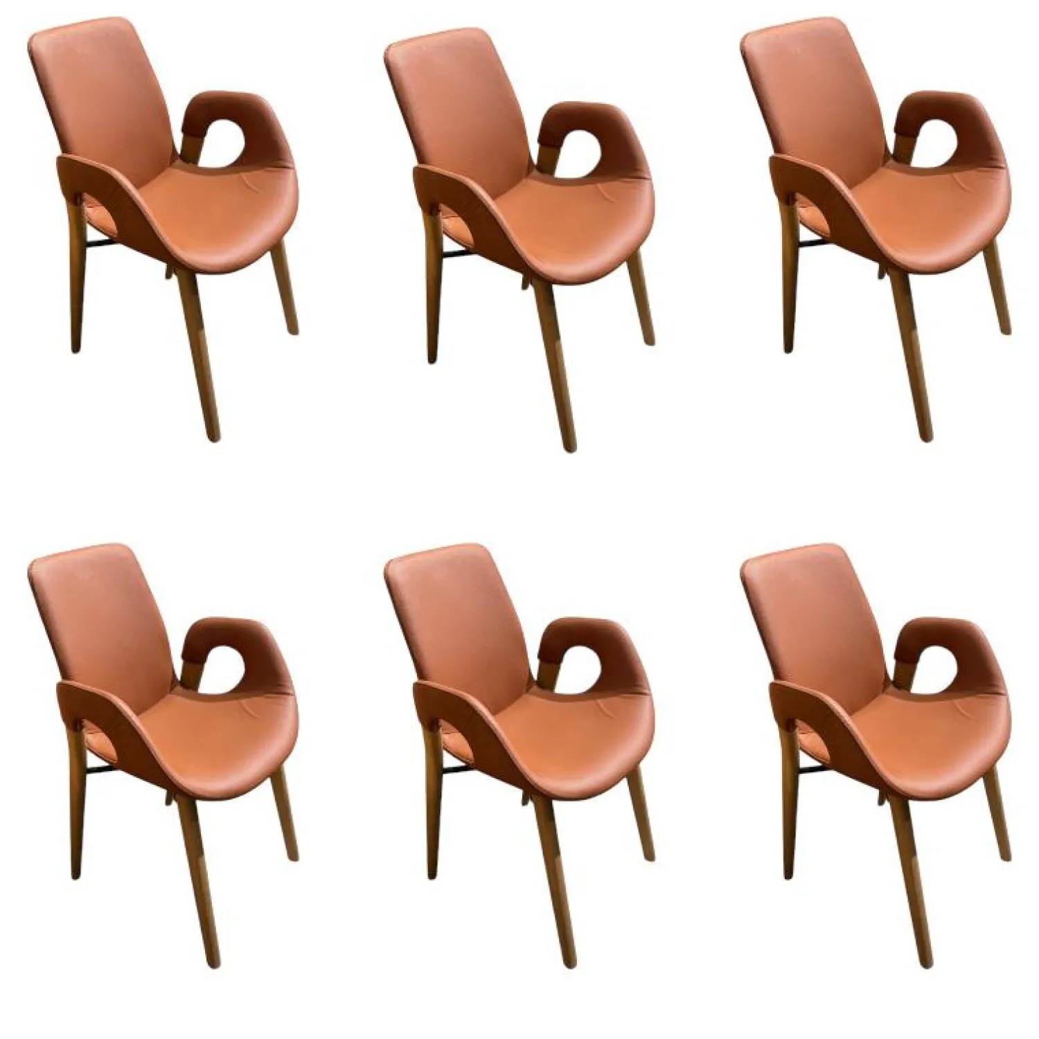 Hartmann Stuhlsets|6er-Set Harta Jasper Leder 22 Cognac Braun Kerneiche Umato