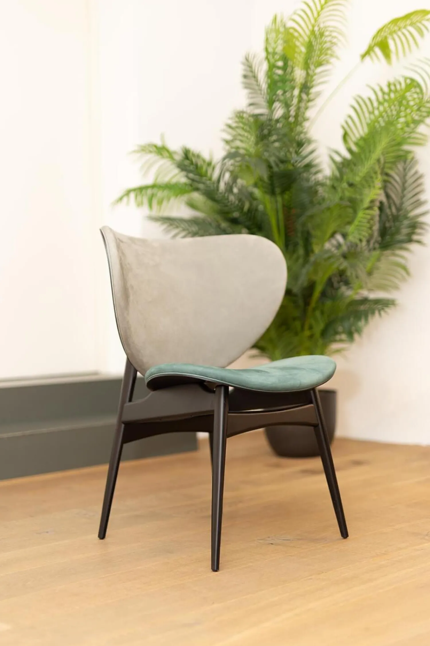 Baxter Stuhlsets|2er-Set Stuhl Alma Bezug Leder Kashmir Sitz Petrol Blau Rücken Mousse Grau Füße Schwarz Lack