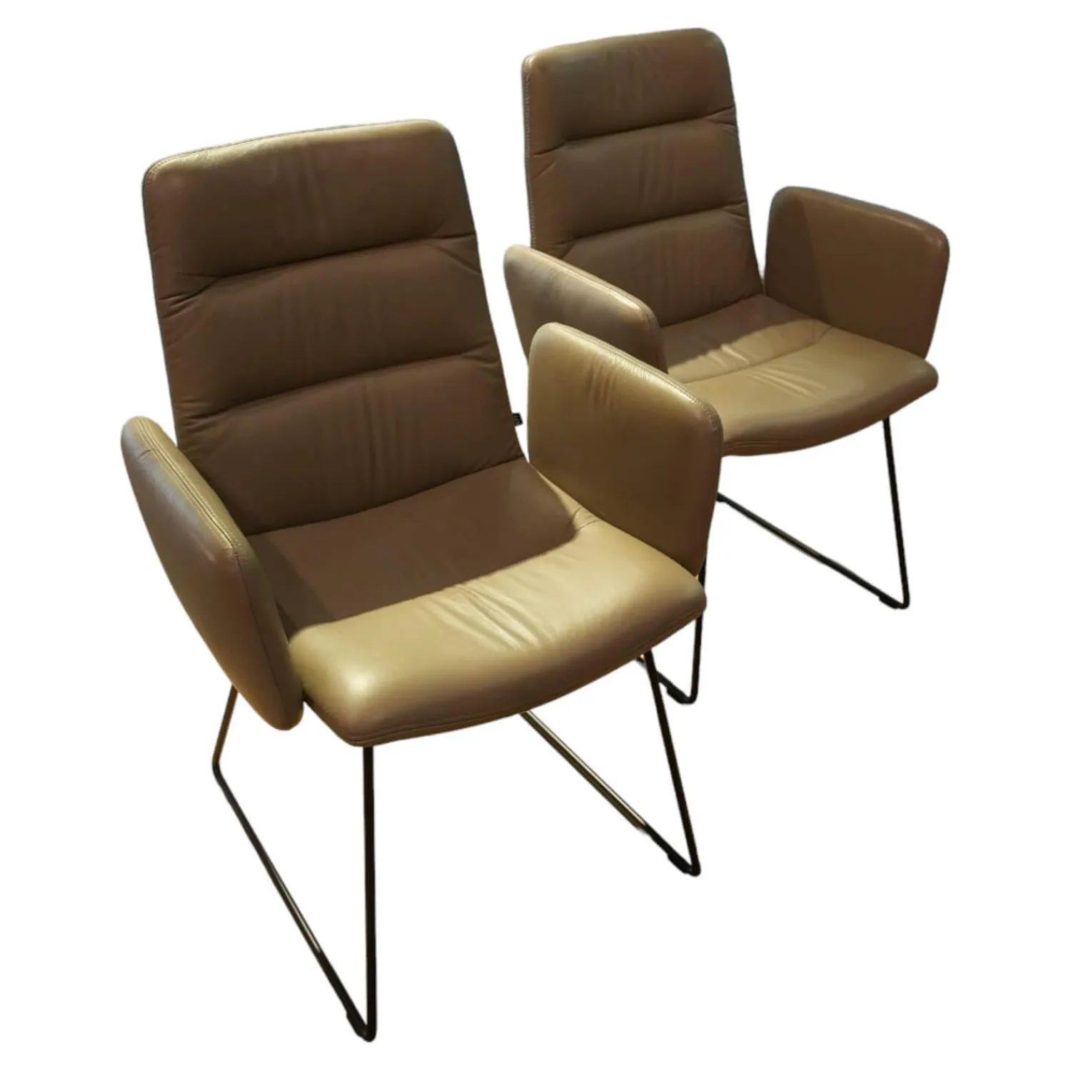 KFF Stuhlsets|2er-Set Stuhl Arva Light Leder Sauvage Schlammgrau 8103 Drahtkufengestell Struktur Schwarz