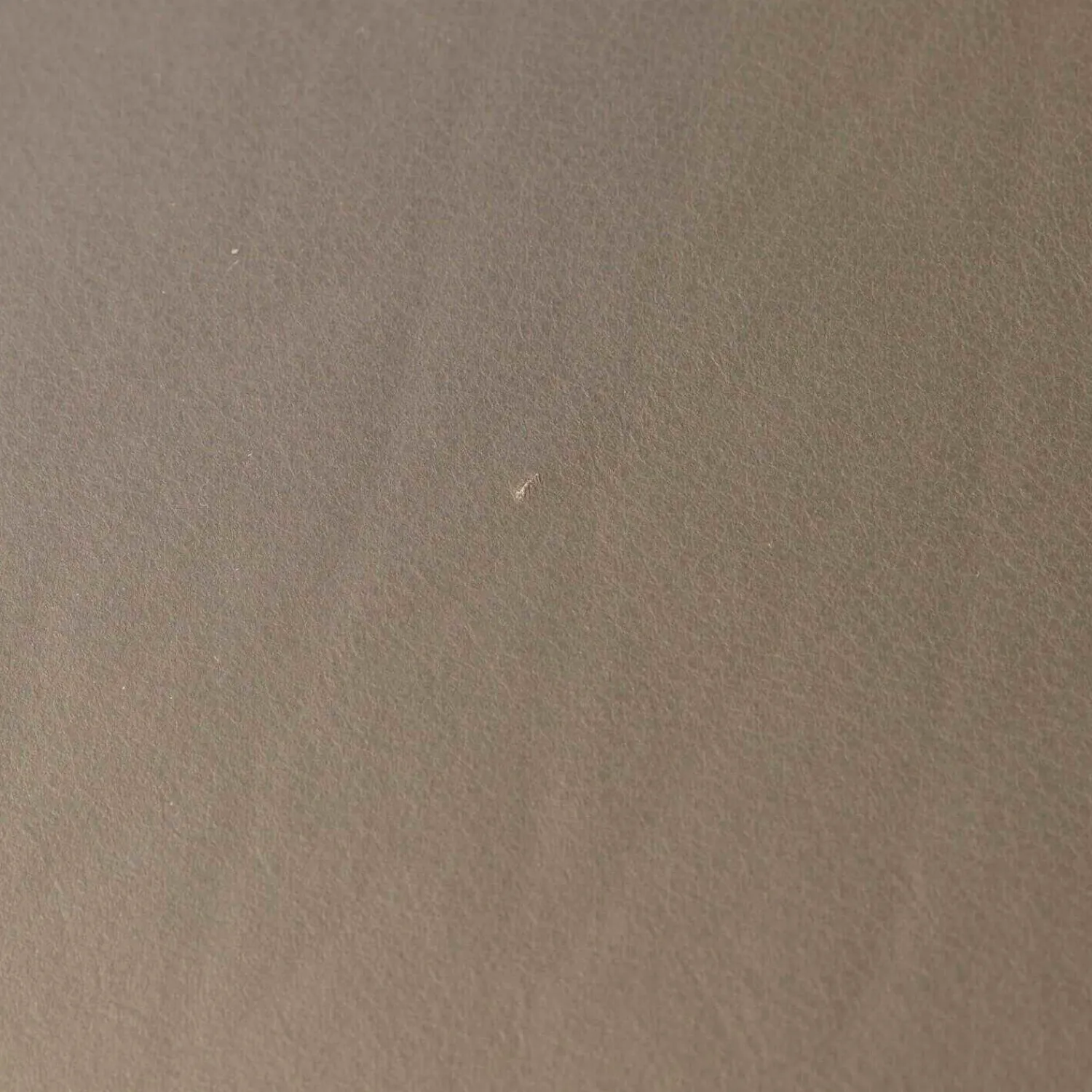 Draenert Stuhlsets|4er-Set Stuhl Freischwinger Luma Leder Grau