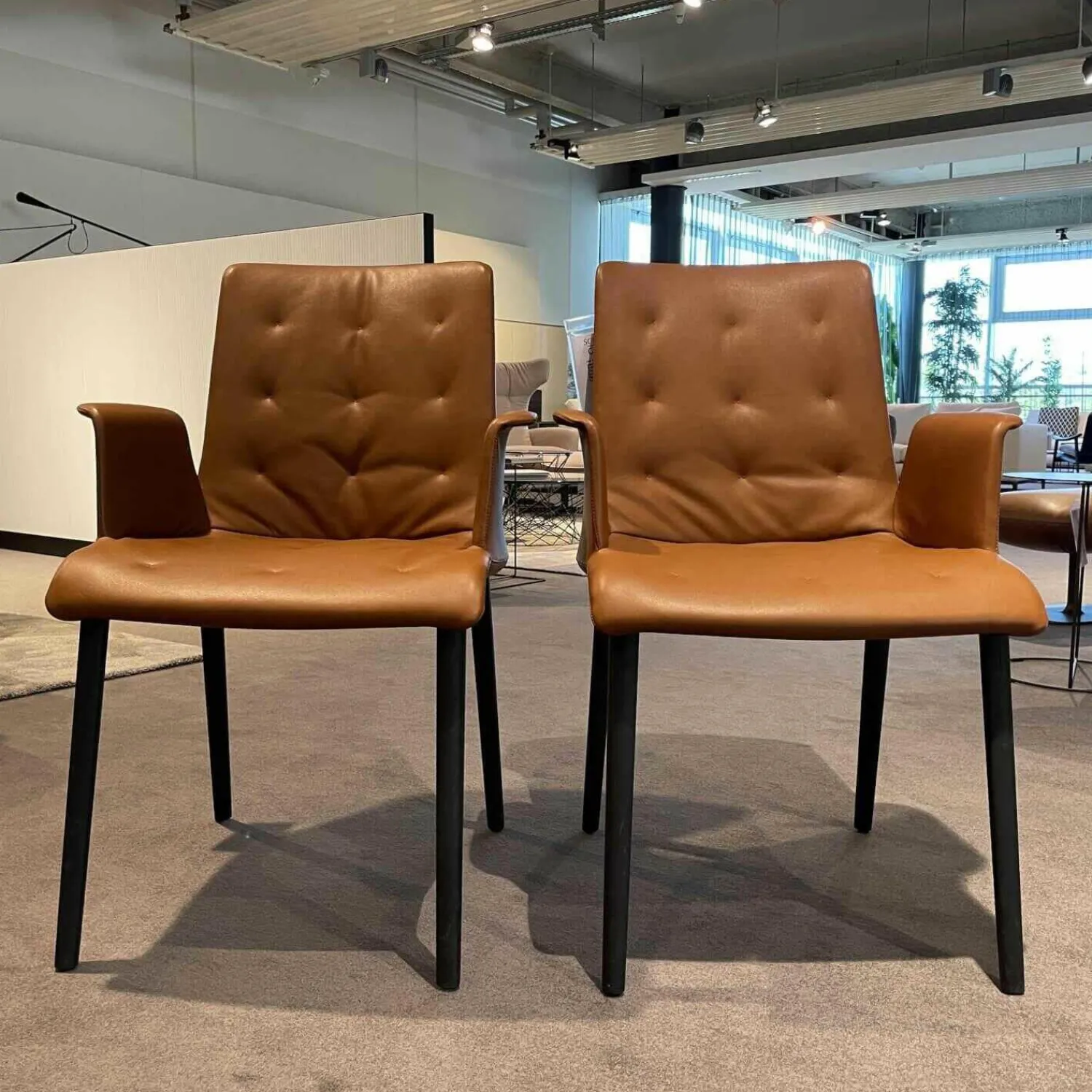 Walter Knoll Stuhlsets|2er-Set Stuhl Liz wood 1323 Bezug Leder Elen 1226 mit Armlehne hoher Rücken Softpolsterung