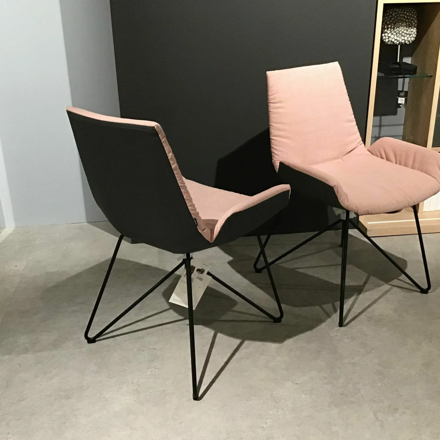 Team 7 Stuhlsets|6er-Stuhlset Lui Außen Leder Anthrazit Innen Stoff Canvas Rose