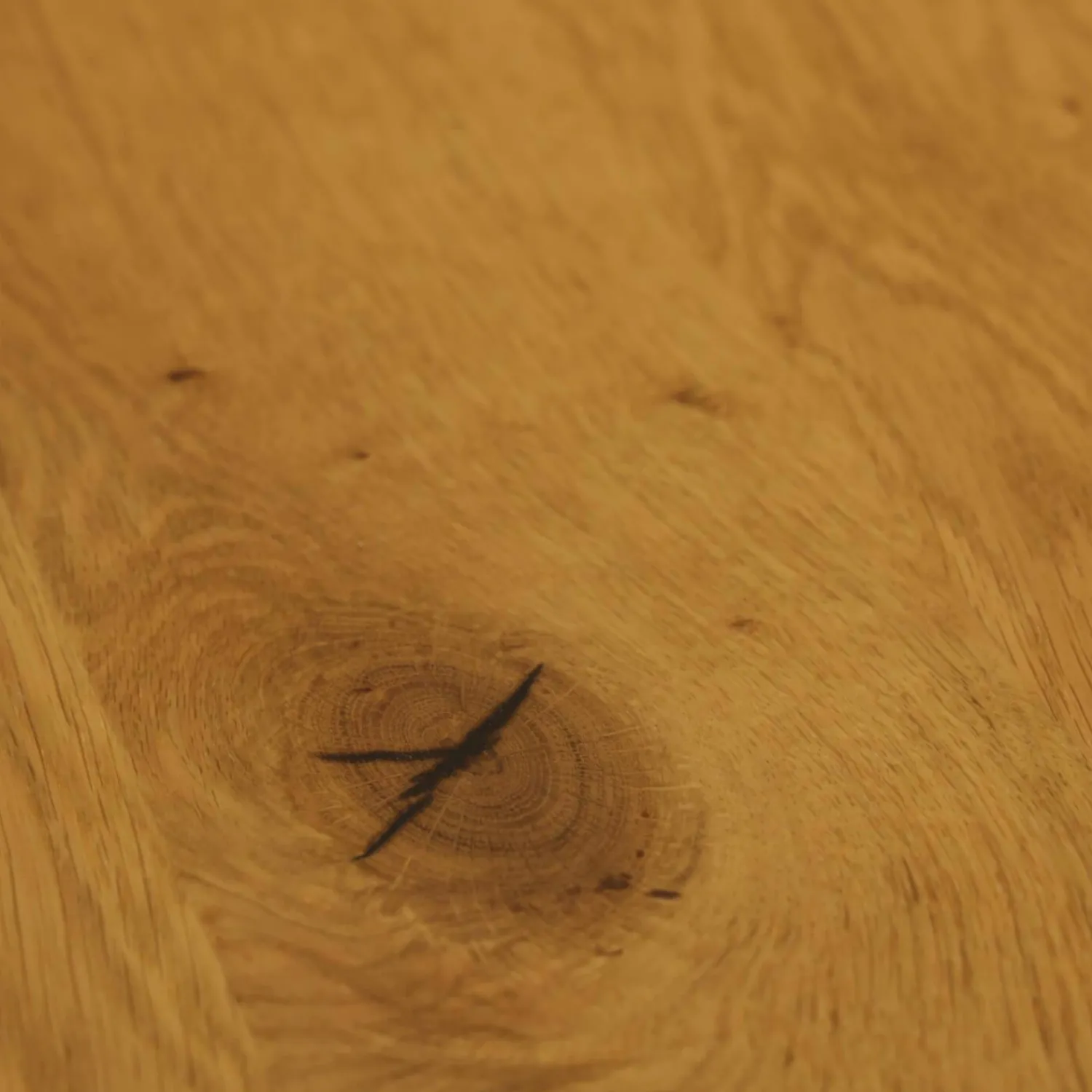 K+W Essgruppen|Essgruppe 5503 Tischplatte Asteiche Bianco Furniert Stoff Niagara Blue Blau