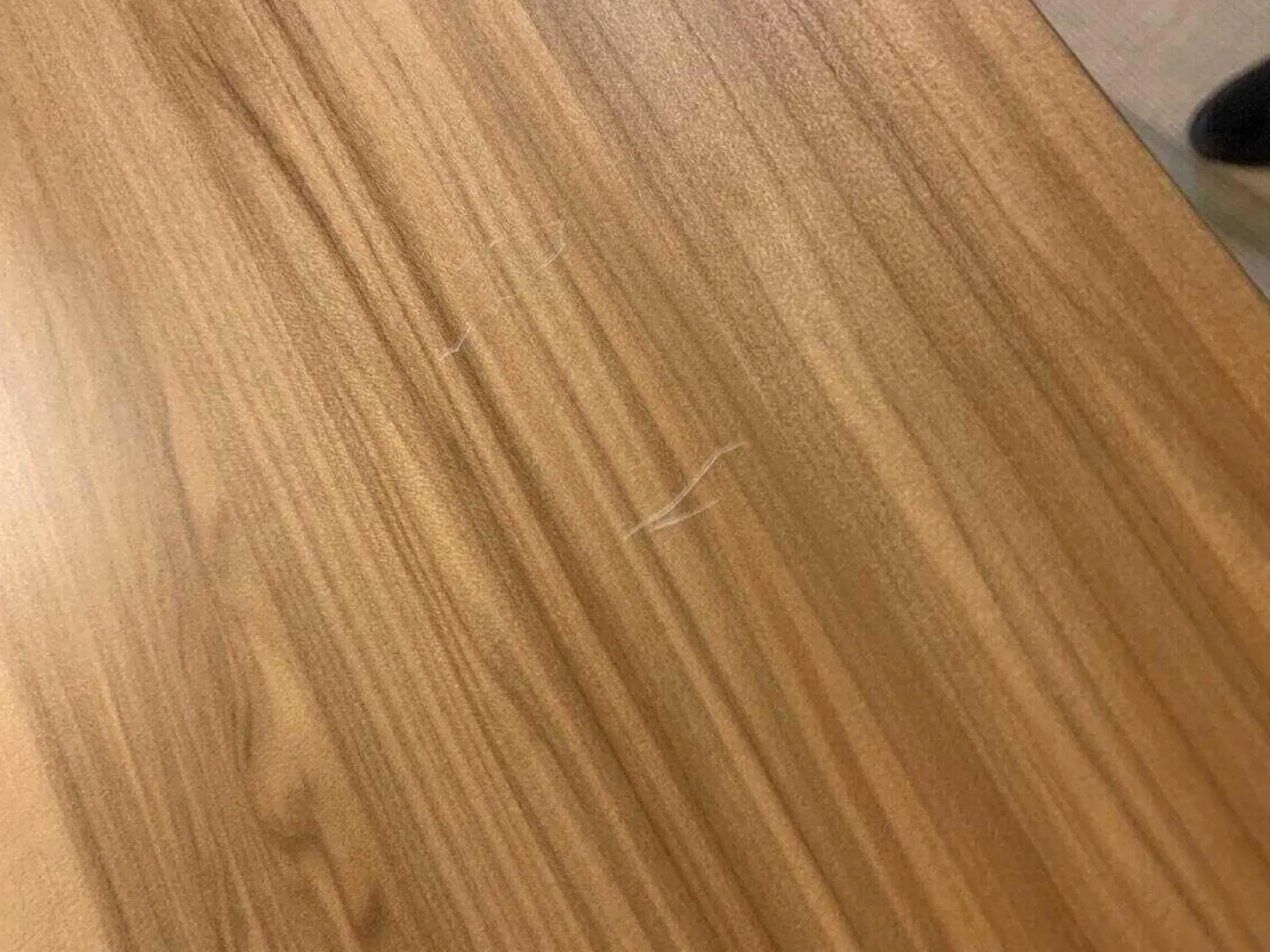 Kettnaker Vitrinen & Highboards|Highboard Soma Weiß Kernnussbaum Lemon