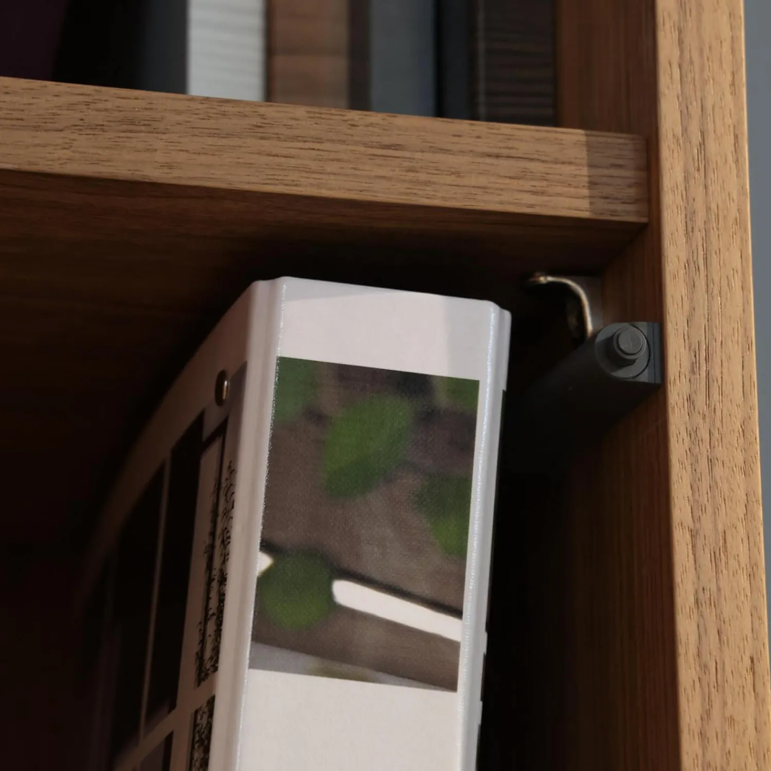 Hülsta Regale|Hängeelement Gentis Bad 10311 Kernnussbaum Naturstamm