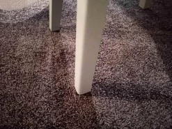 Schönbuch Hocker & Sitzsäcke|Hocker Nini Massivholz PG1 Lack Zement