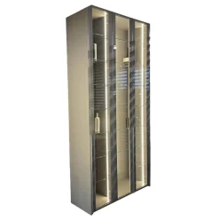 Interlübke Garderoben|Kleiderschränke|Kleiderschrank Garderobe Collect Korpus Mattlack Flintgrau Paneele Eiche Natur mkit Beleuchtung Schrankelemente Glas Drehtüren Glaseinlegeböden Garderobenelement mit Spiegel