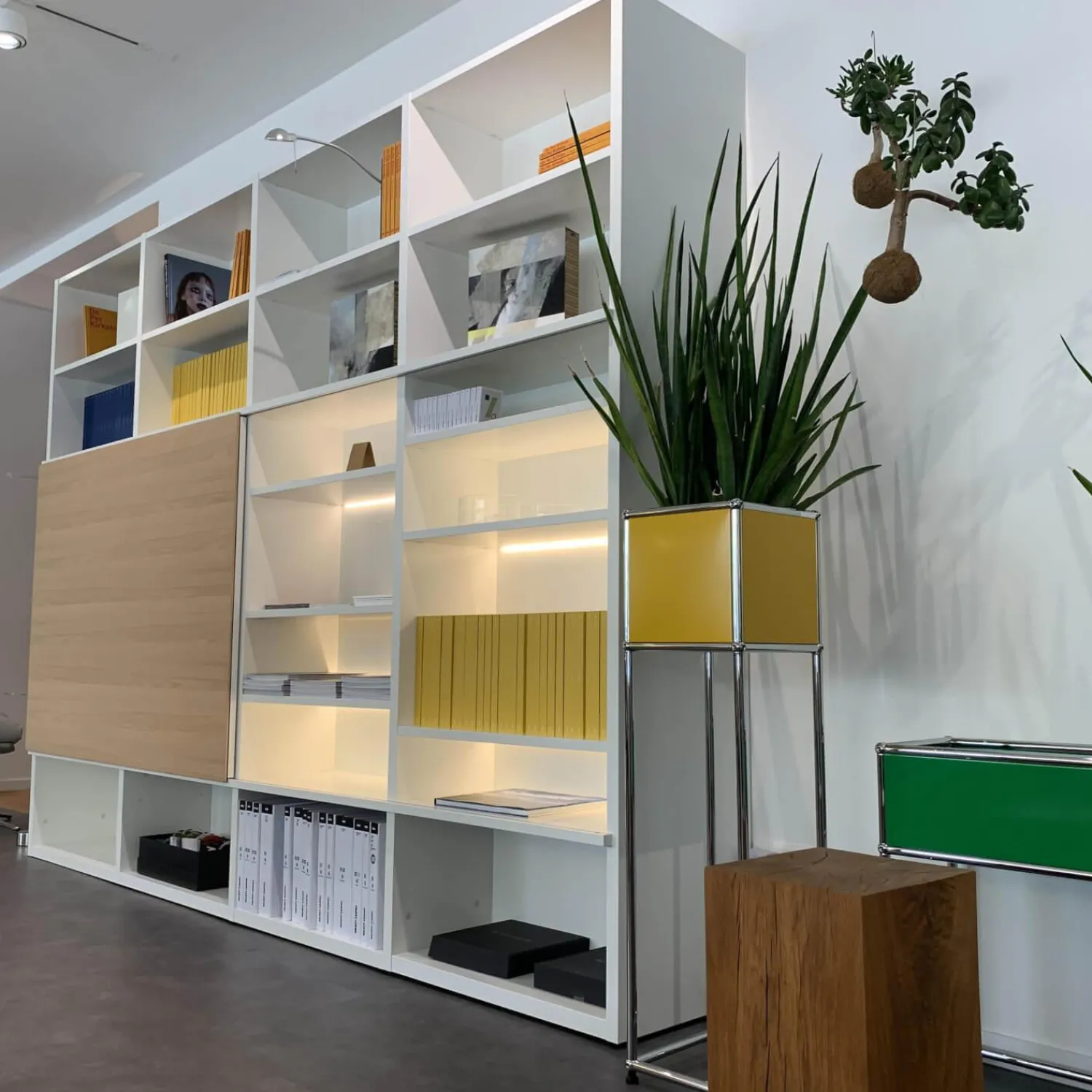 Interlübke Regale|Regalwand Studimo Lack Matt M03 Schneeweiß mit TV-Paneel