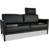 Rolf Benz 2-Sitzer-Sofas|Sofa Cara Leder 38.110 Schwarz Spange Stahl Schwarz