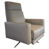Rolf Benz Relaxsessel|Sessel 572 Leder 38.101 Steingrau Mit Verstellfunktion