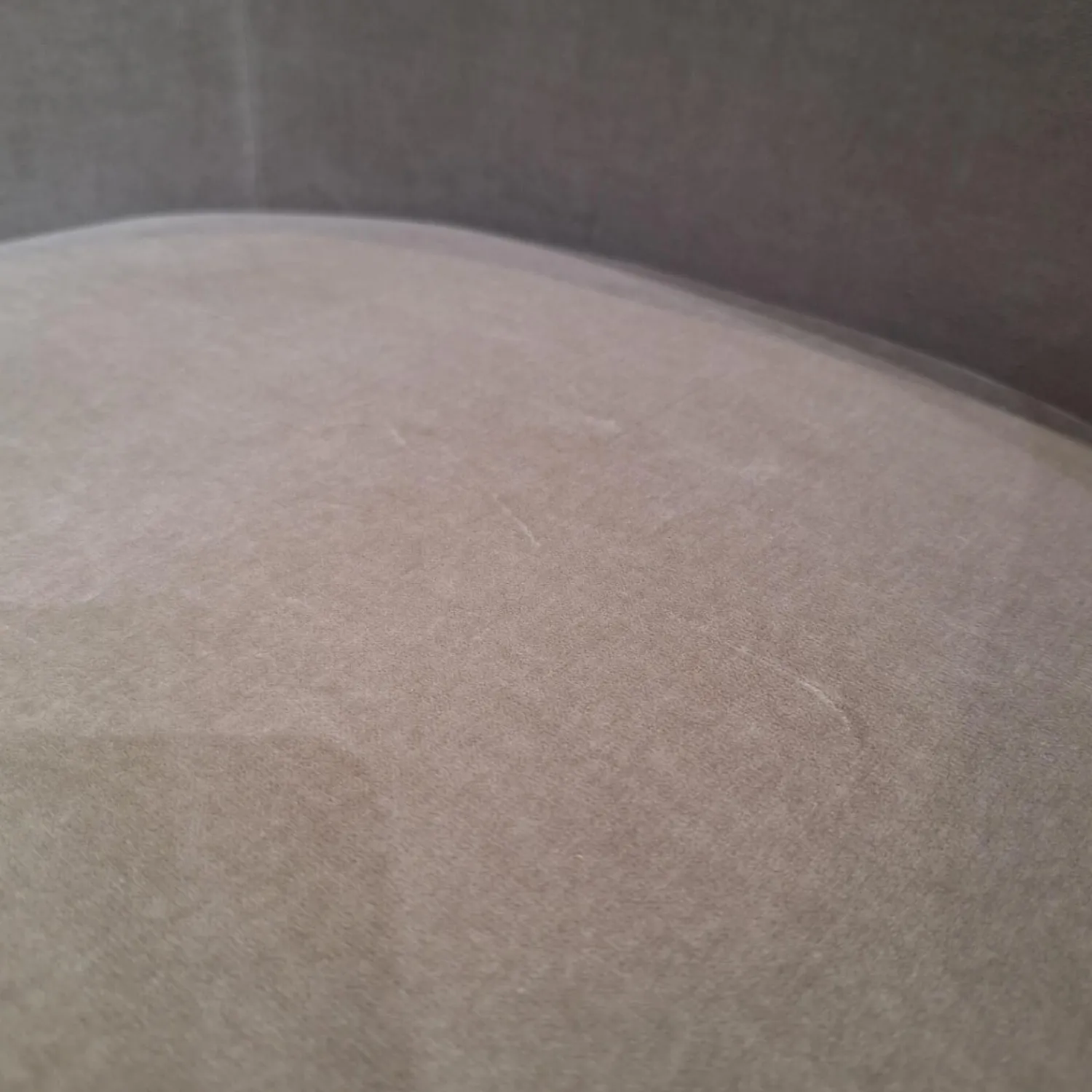 Walter Knoll Einzelstühle|Sessel Armchair 375 Stoff Harald Silver Grau Gestell Eiche