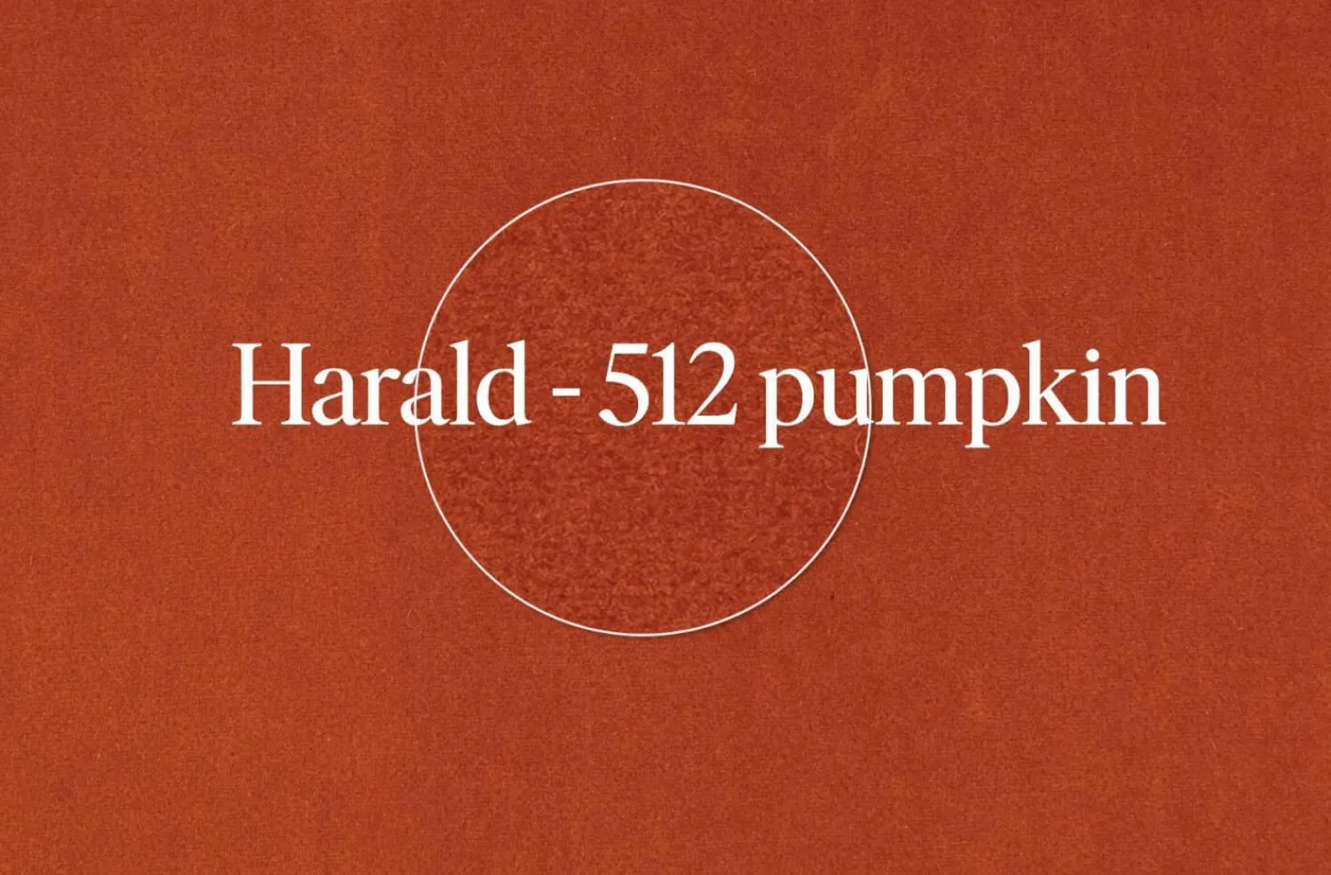 Walter Knoll Loungesessel|Sessel Bao Außen Leder Seddle Coffee Schwarz Innen Stoff Samt Harald Pumpkin Orange Drehteller Schwarz