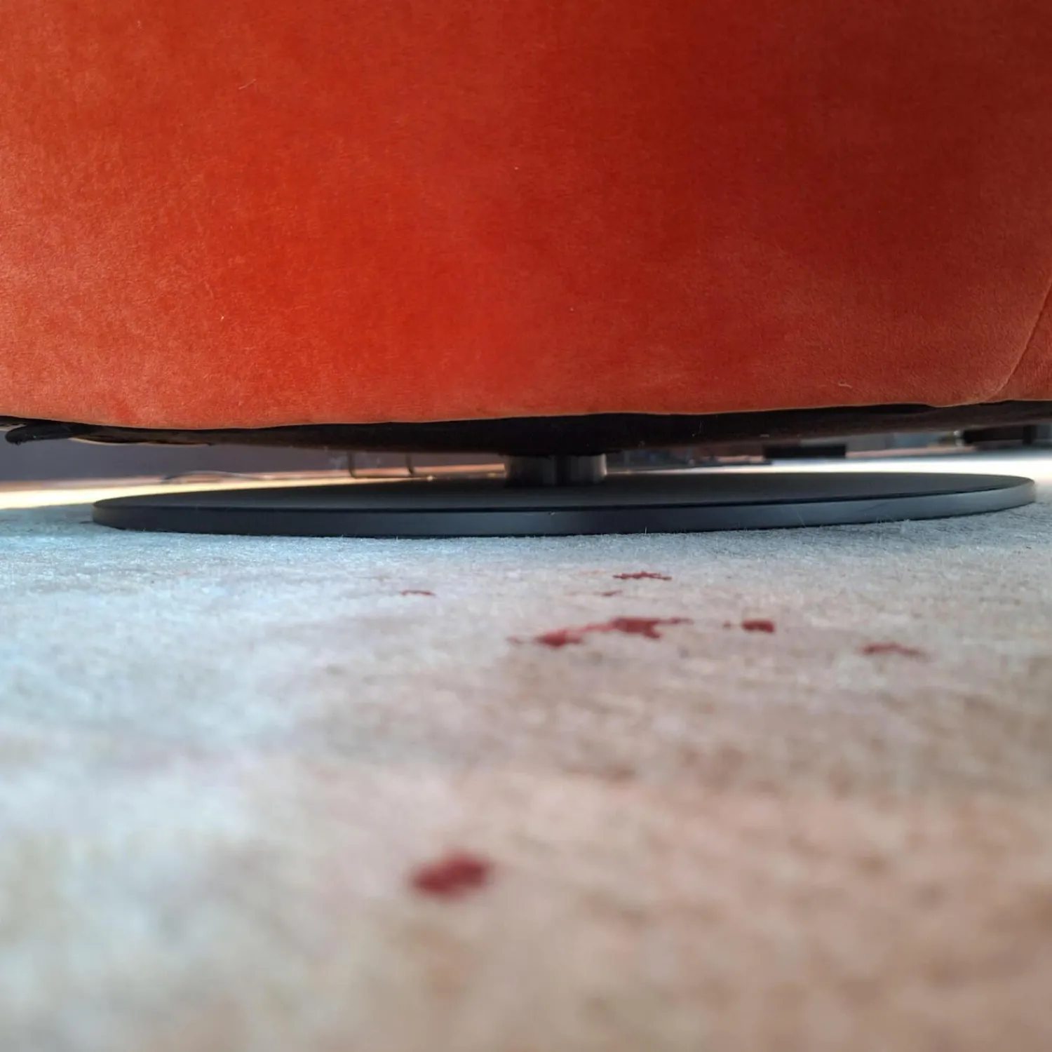 Walter Knoll Loungesessel|Sessel Bao Außen Leder Seddle Coffee Schwarz Innen Stoff Samt Harald Pumpkin Orange Drehteller Schwarz