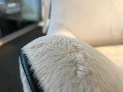 Wittmann Relaxsessel|Sessel Contessa 1956 Stoff Yukon Snow Keder Schwarz Gestell Schwarz