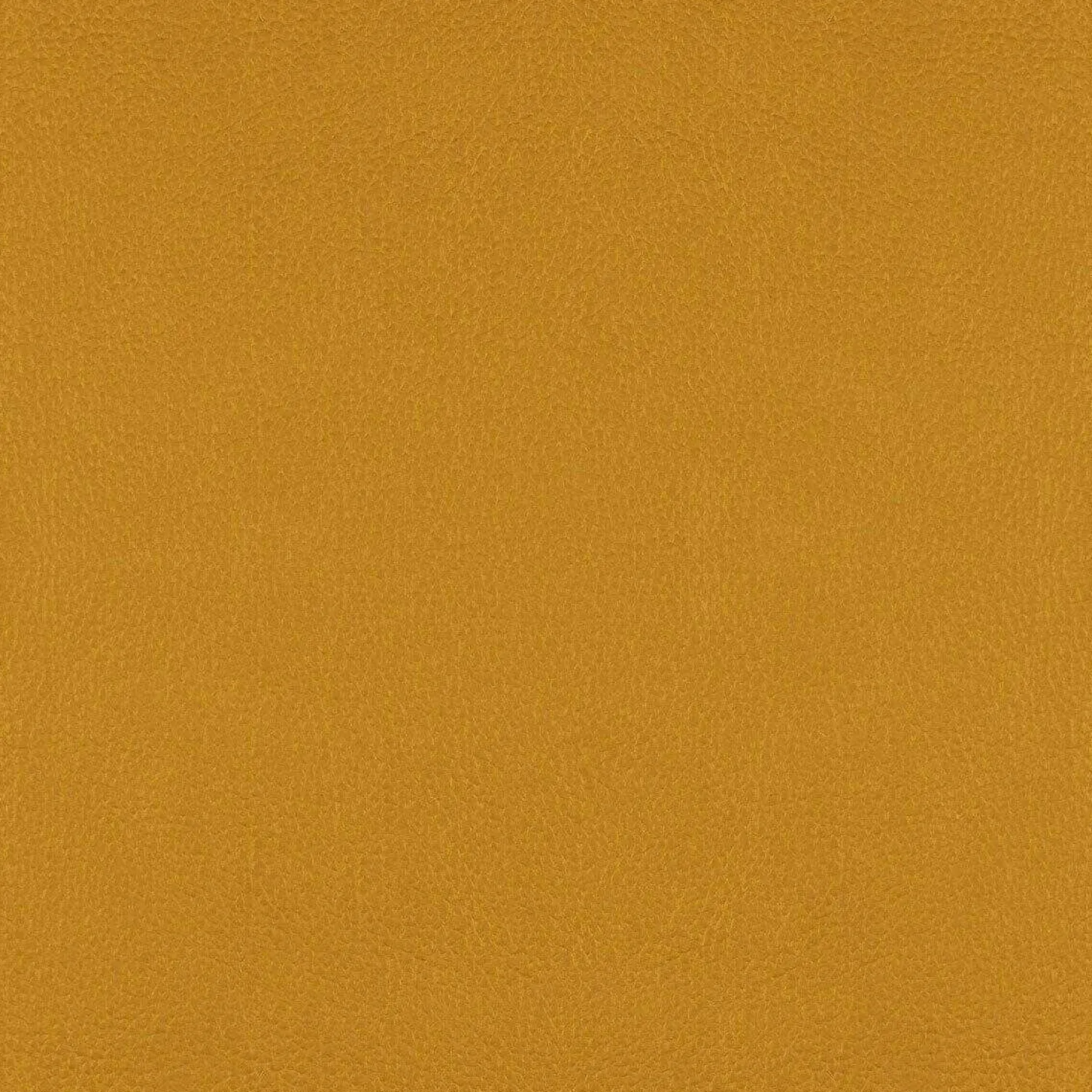 Cassina Relaxsessel|Sessel Gender 570 12 Melange Leder Schwarz Beige Gelb Ice Kissen Stoff Gerrit