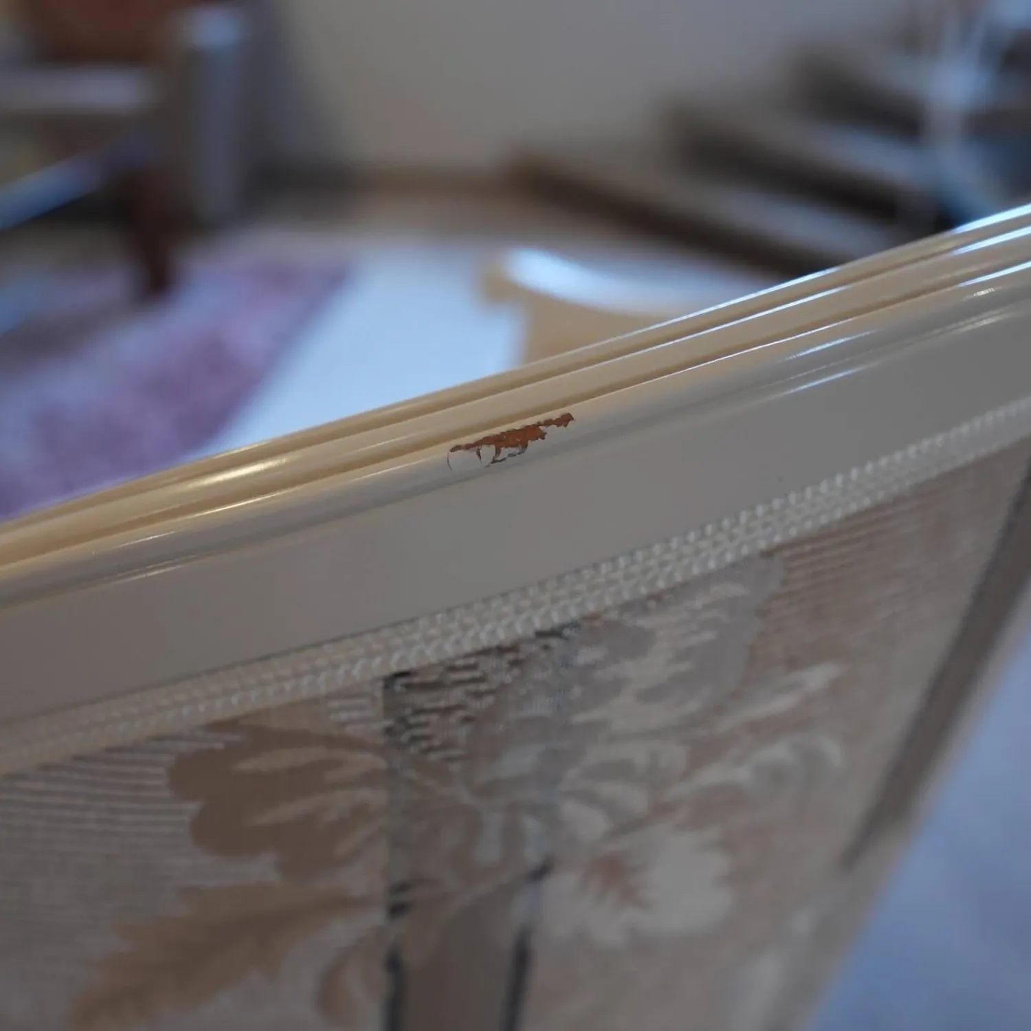 Finkeldei Relaxsessel|Sessel Modell Carlo Bezug beige / gelb / hellbraun Sichtholz Elfenbein Ton