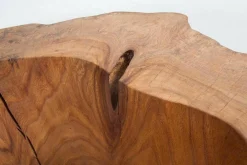 Eigene Herstellung Couchtische|Skulptur Bowl Elm Ulme