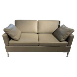 Brühl 2-Sitzer-Sofas|Sofa Alba 85505 Leder 5423 25 Grau Winkelfuß Verchromt Pulverbeschichtet Mit Kissen