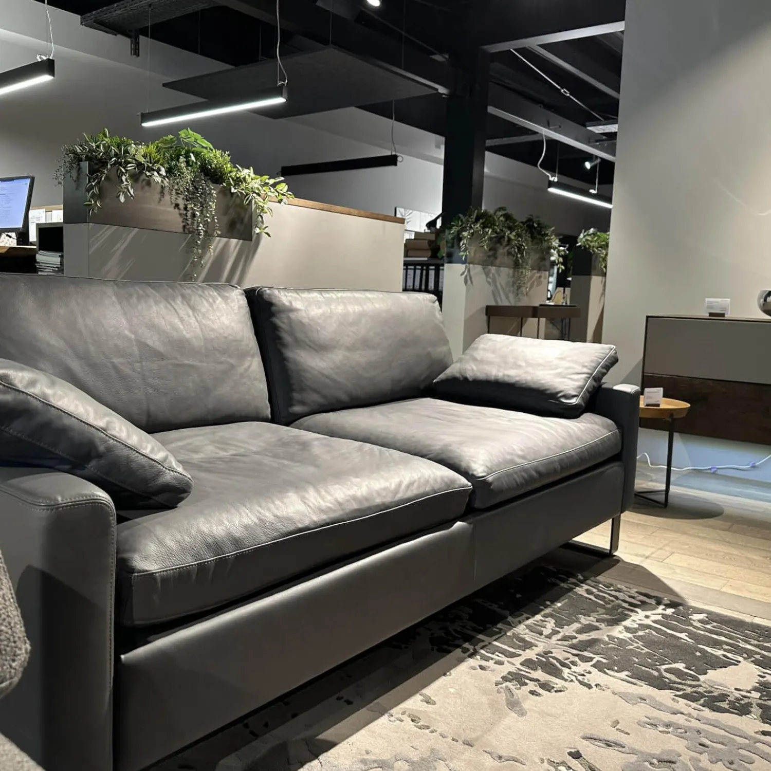 Brühl 3-Sitzer-Sofas|Sofa Alba Leder 5669 95 Grau Metallkufe Schwarz Pulverbeschichtet