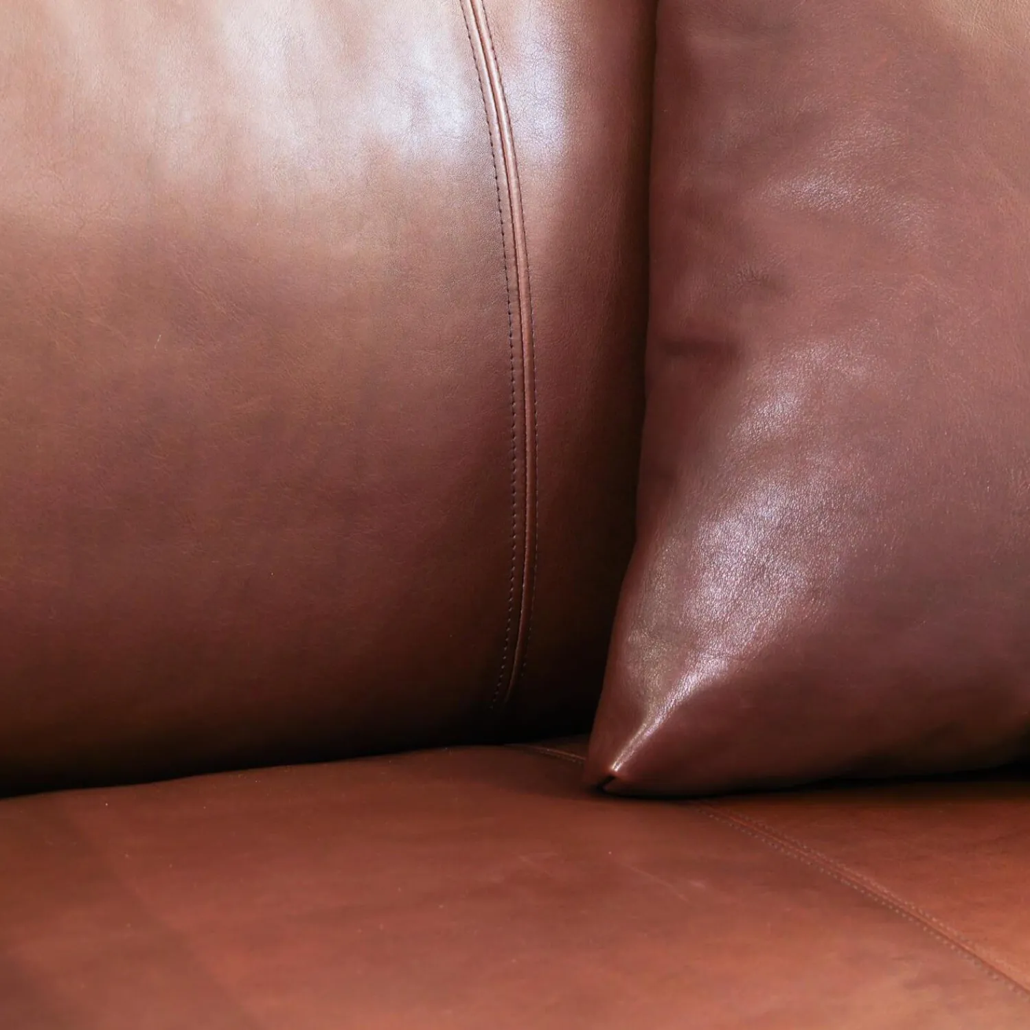 Montis 2-Sitzer-Sofas|Sofa Axel 3.5-Sitzer Bezug Leder Rancho Sienna L50 Kufengestell Edelstahl