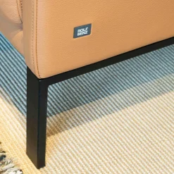Rolf Benz 2-Sitzer-Sofas|Sofa Cara Mit Kopfstütze Leder 38.111 Ockerbraun Spangenfuß Stahl Schwarz