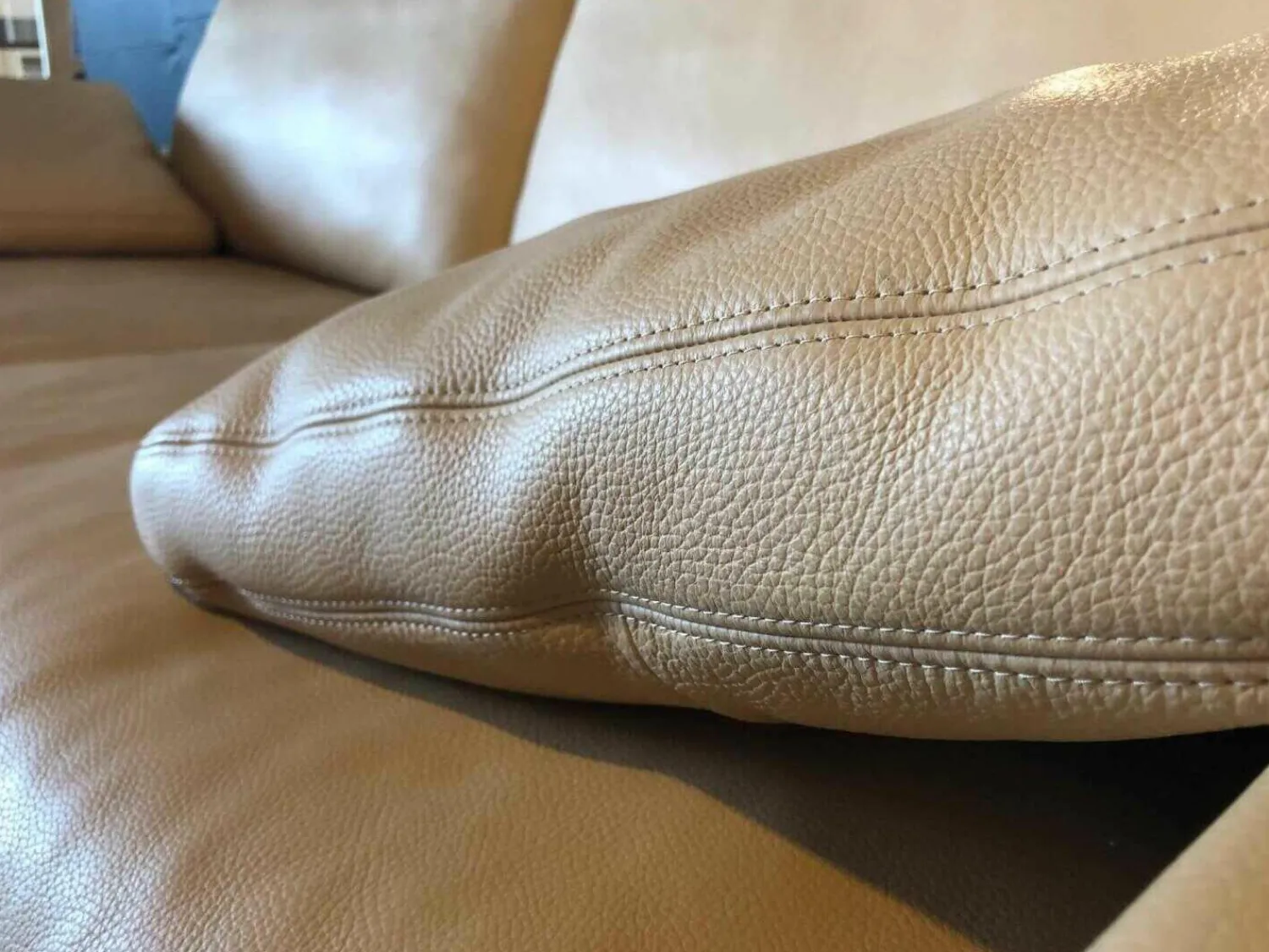 Erpo 2-Sitzer-Sofas|Sofa Classics 100 Leder 43.450 Beige mit Armlehnkissen