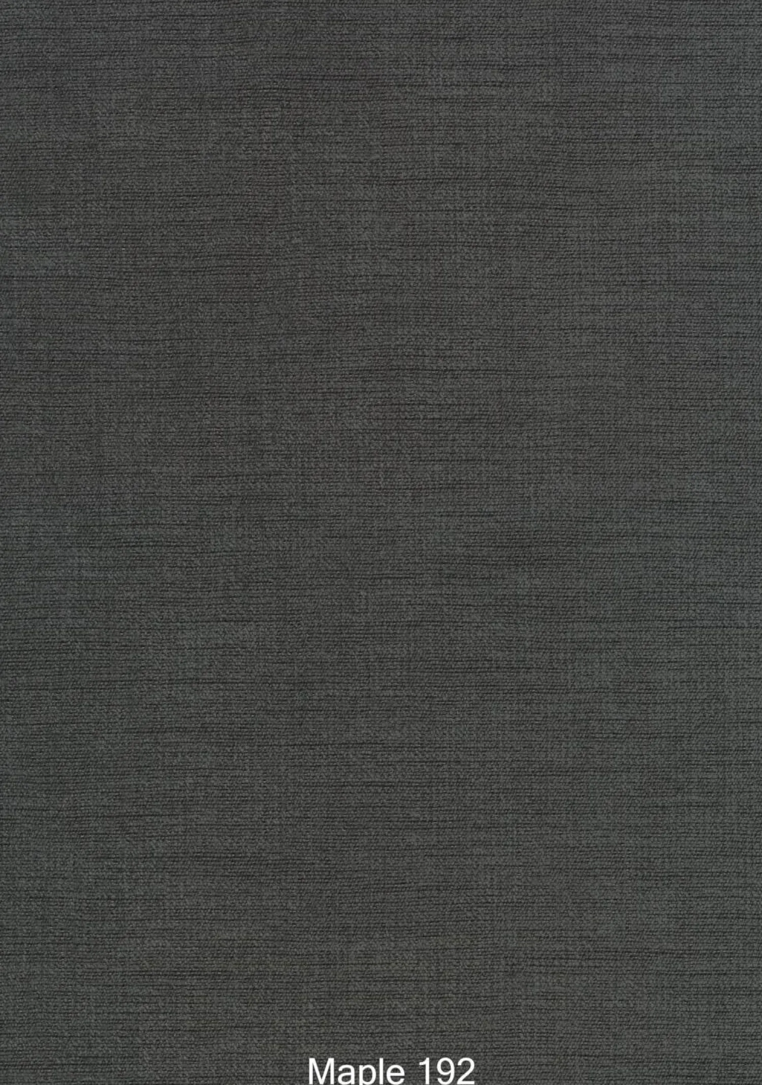 Montis 2-Sitzer-Sofas|Sofa Domino Inklusive Rollelement Hauptstoff Maple 192 Grau Fuß Kunststoff