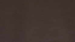 Koinor 2-Sitzer-Sofas|Sofa Edit 2 Leder D Dolce Cola Grau Braun Plateau 2 Balkeneiche Furniert Geölt Mit LED Beleuchtung Und Soundsystem