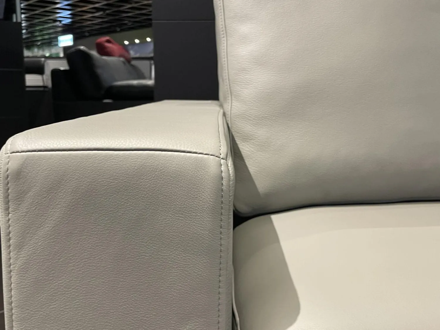 Rolf Benz 2-Sitzer-Sofas|Sofa Ego Leder 38 101 Hell Steingrau Grau