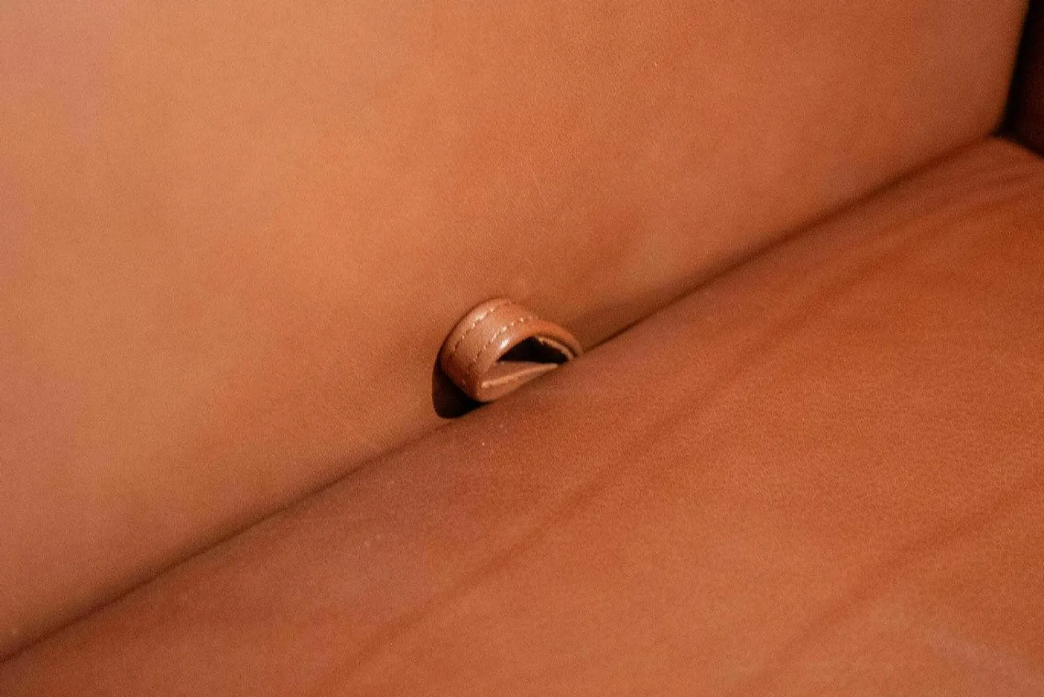 Jori 2-Sitzer-Sofas|Sofa Glove Pure Leder Lolita Cognac Braun Gestell Bronze Matt Pulverbeschichtet