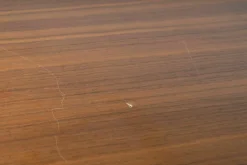 USM Haller Vitrinen & Highboards|Stehpult Mittelgrau Ablage Nussbaum